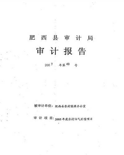 审计报告（会计学领域的概念）