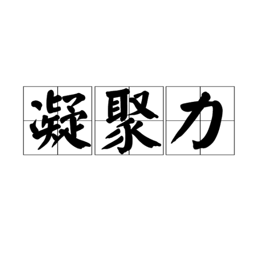 凝聚力（群体成员之间团结协作的程度）