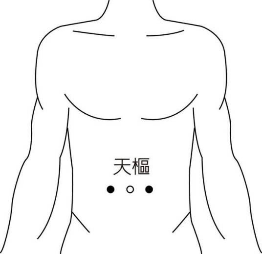 天枢（足阳明胃经上的腧穴）