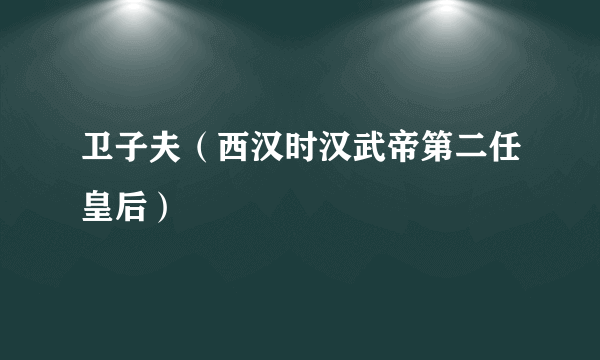 卫子夫（西汉时汉武帝第二任皇后）