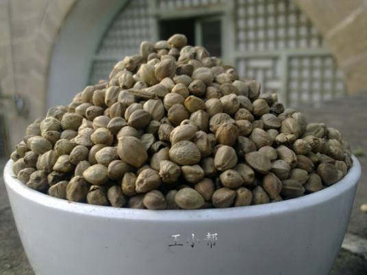 麻子(一种食品,甘陕特产)