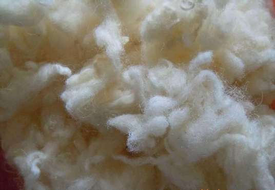 羊毛(纺织原料)