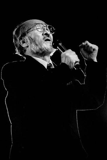 王洛宾（中国民族音乐家）