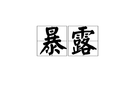 暴露（汉语词语）