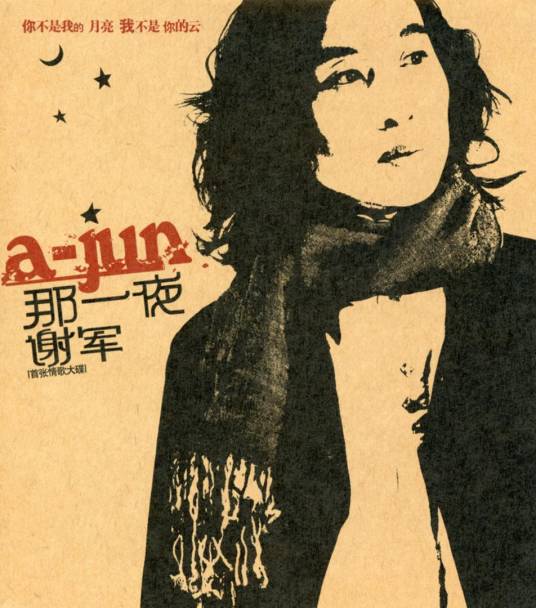 那一夜（2005年谢军演唱的歌曲）