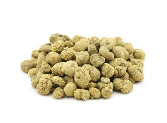 延胡索（中药）