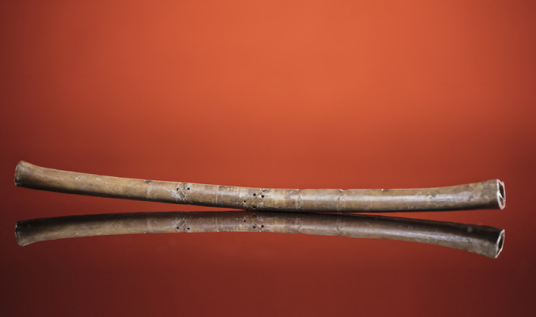 贾湖骨笛(文物)