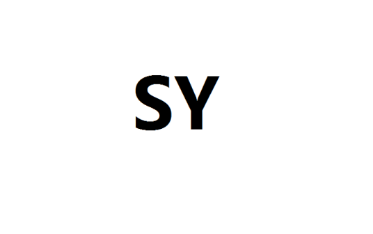 SY（英文缩写）