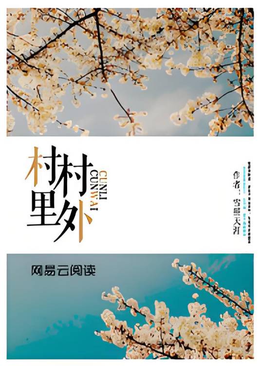 村里村外(雪照天涯创作的都市类网络小说)