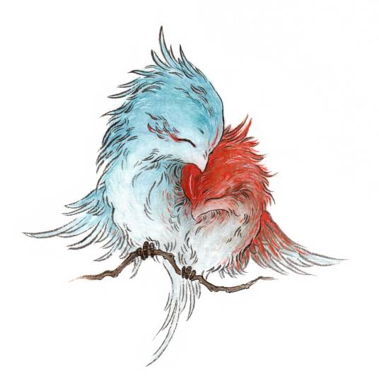 比翼鸟(中国古代神话传说中的神兽)