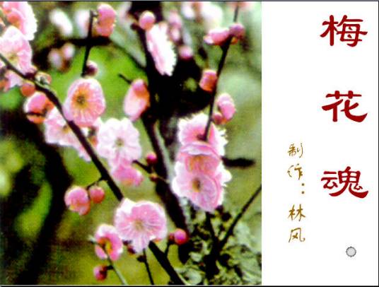 梅花魂（陈慧瑛创作散文）