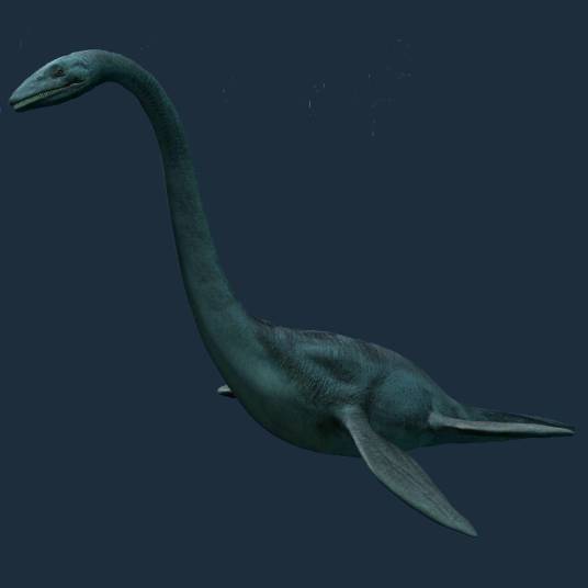 蛇颈龙(蛇颈龙科蛇颈龙属动物)