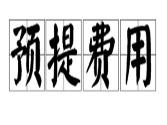 预提费用