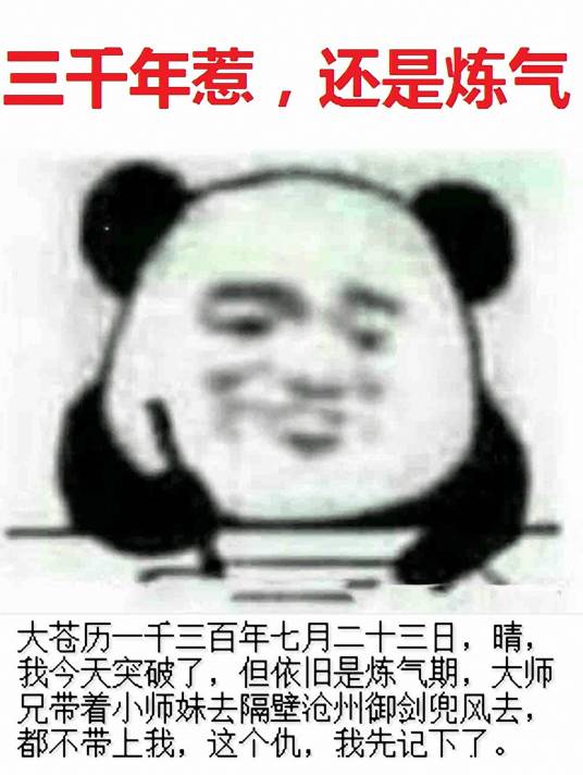 炼气练了三千年（精装激光雕刻机创作的小说）