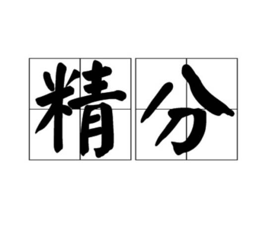 精分（汉语词语）