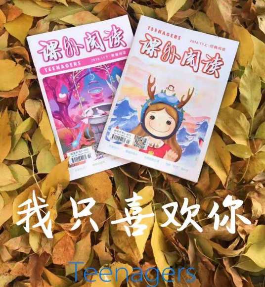课外阅读(国家级期刊)