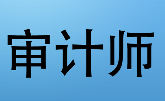 审计师（职业名称）