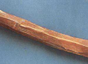 苏木(药用植物)