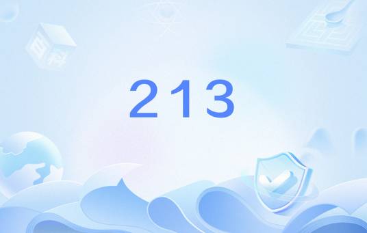213（网络用语）