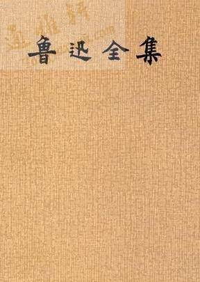 鲁迅全集（2005年光明日报出版社出版的图书）