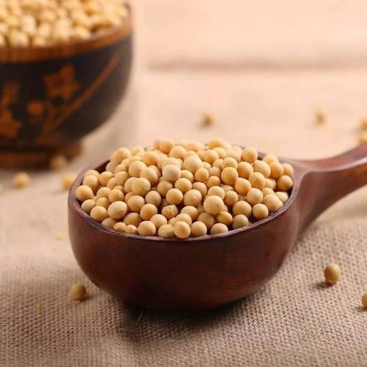 豆子（豆目豆科植物）