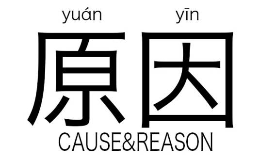 原因（历史学名词因果名词）