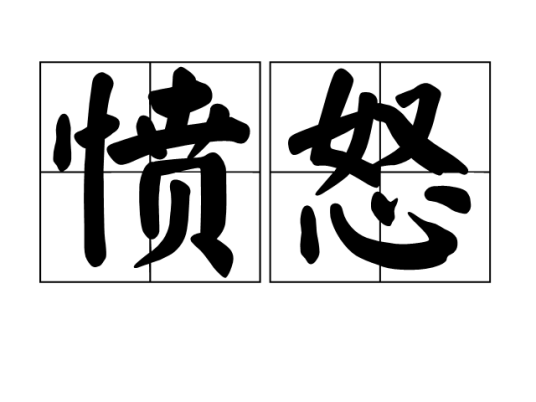 愤怒（汉语词语）