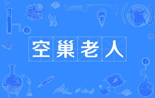 空巢老人（子女离家后的中老年夫妇）