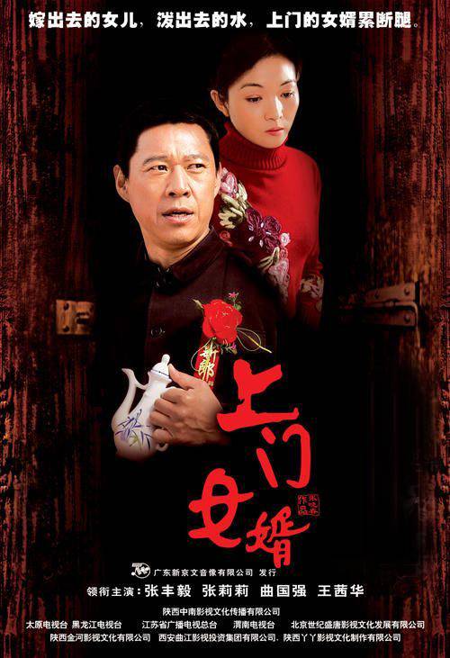 上门女婿（2006年张丰毅主演电视剧）