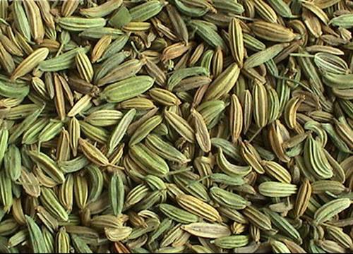 小茴香（中药）