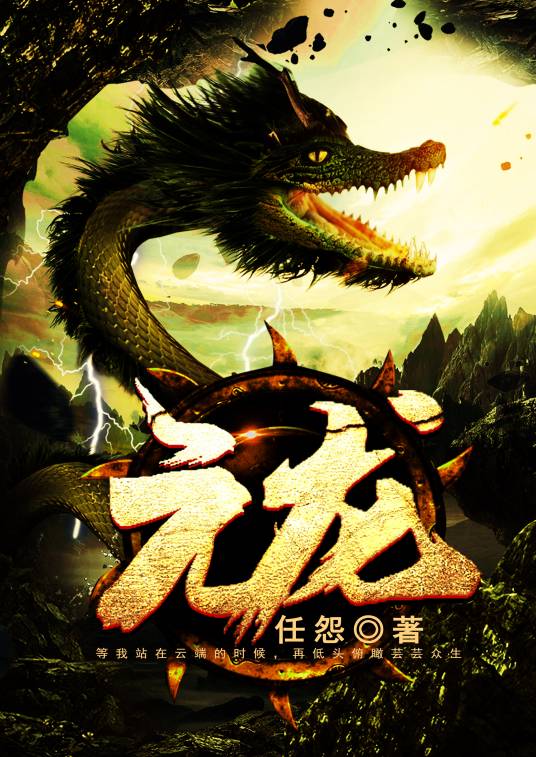 元龙（任怨创作的网络小说）