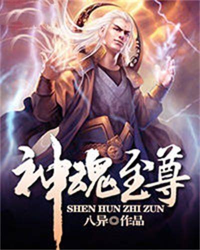 神魂至尊(八异创作的东方玄幻类网络小说)