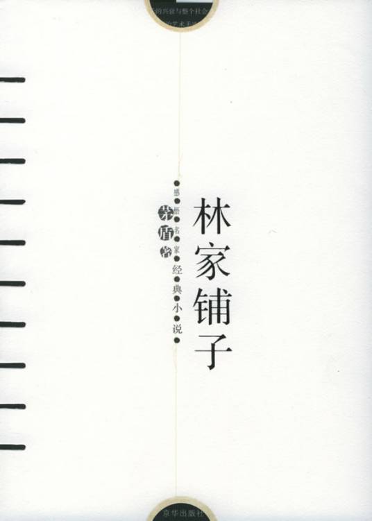林家铺子（茅盾著小说）