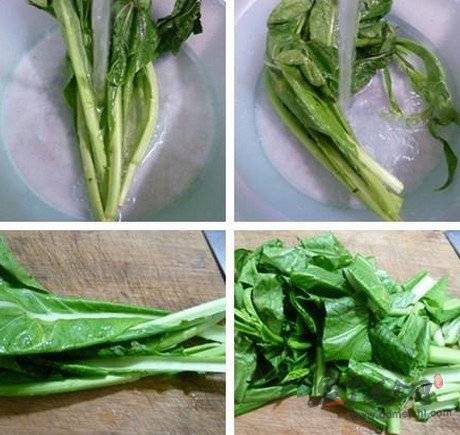 天菜（十字花科芸薹属植物）