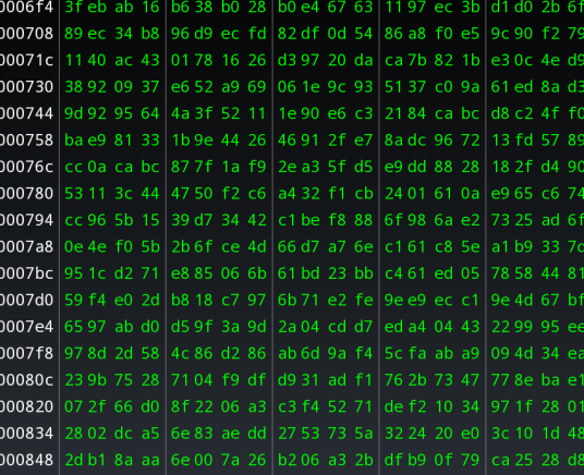 十六进制编辑器