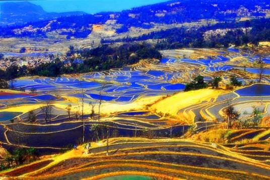 元阳梯田（红河哈尼梯田核心区）