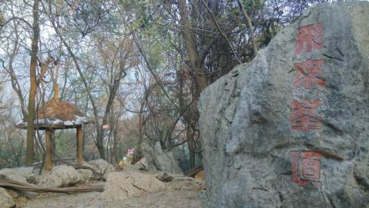 飞来峰(浙江省杭州市的全国重点文物保护单位)