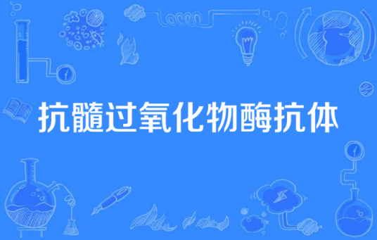抗髓过氧化物酶抗体