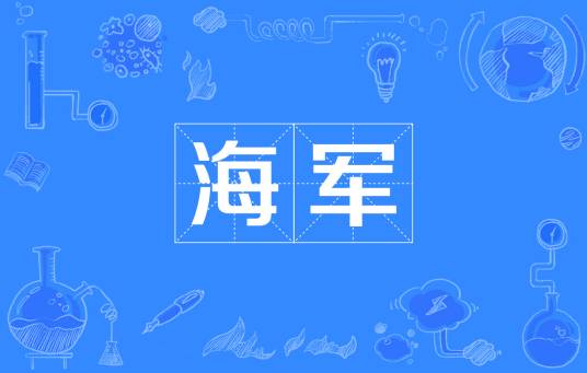 海军（在海洋水面作战的军种）