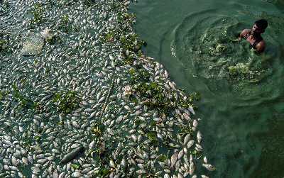 马萨卡（乌干达南部的城镇）