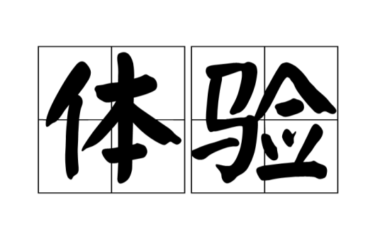 体验（汉语词语）