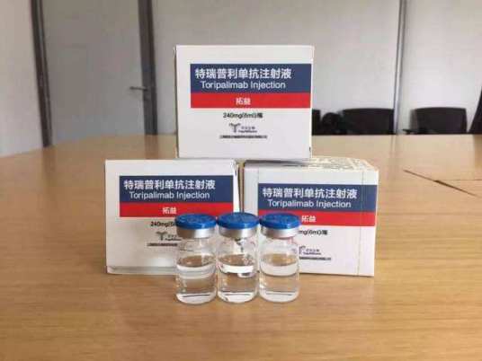 特瑞普利单抗注射液