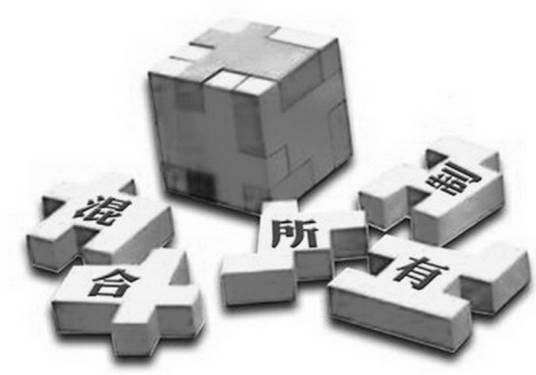 混合所有制（混合所有制改革）