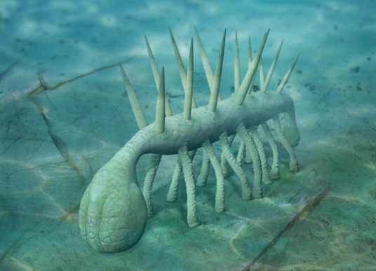 怪诞虫(古生物)