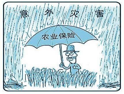农业保险（一种保险）
