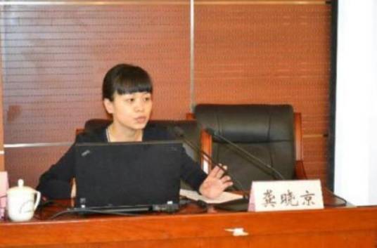 龚晓京