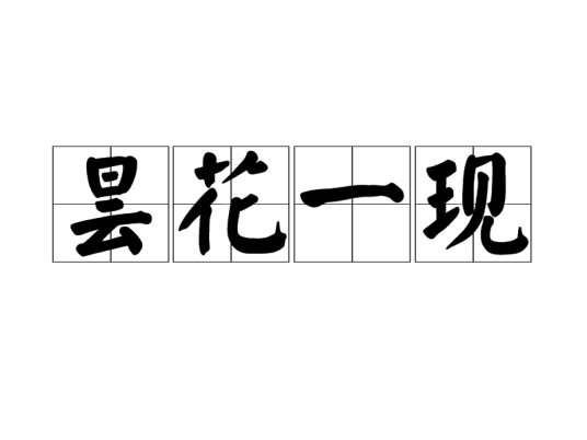昙花一现（成语）