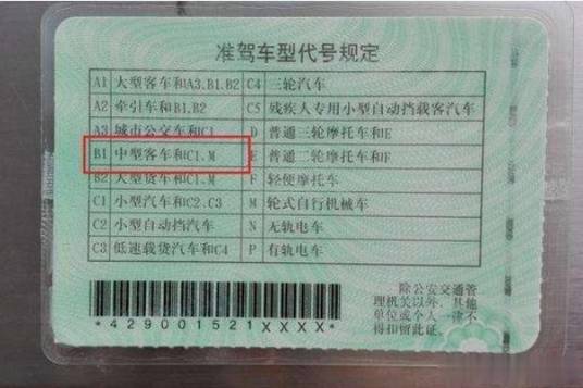 B1驾驶证