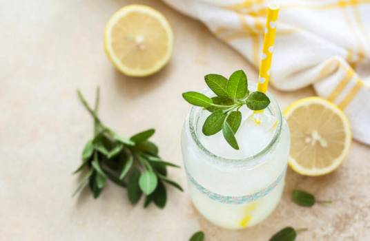 素食主义者（实践素食主义饮食文化的人群）