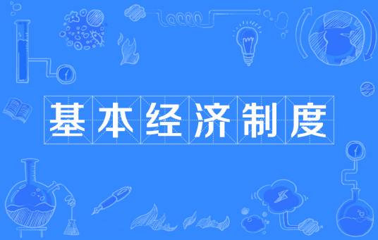 基本经济制度(社会经济在生产关系中最基本的规定)